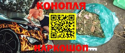 шишки Новозыбков