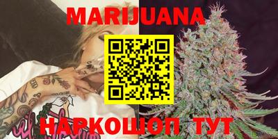 шишки Новозыбков