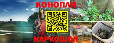 бошки Новокубанск