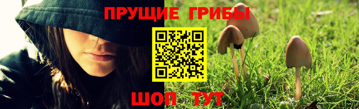 Псилоцибиновые грибы мицелий  Вход с VPN  Рузаевка 